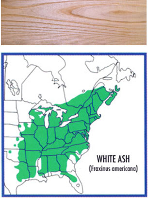 map of where white ash grows and a wood swatch