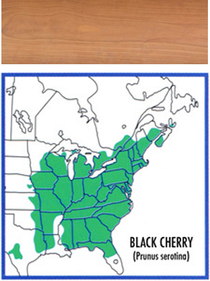 map of where black cherry grows and a wood swatch